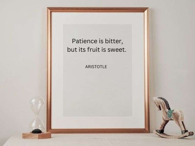 Patience is a virtue quote