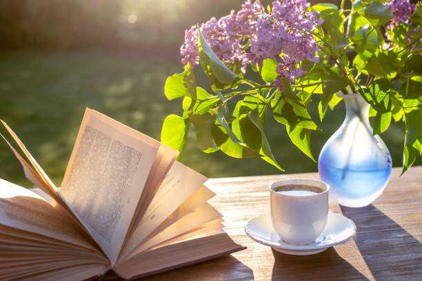 Top 11 Books on peace of mind