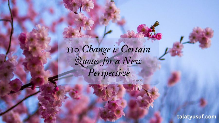 110 Change is Certain Quotes for a New Perspective