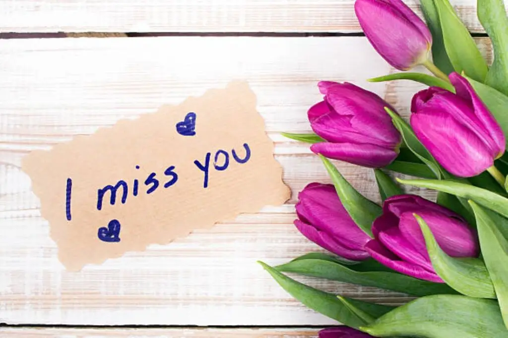 115 Quotes about I Miss You My Love