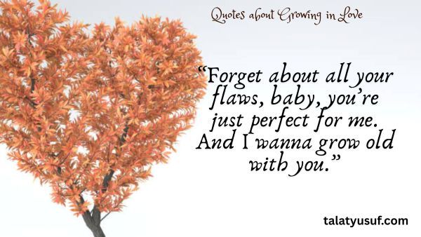 119 Romantic Quotes about Growing in Love Together 119 Romantic Quotes about Growing in Love Together