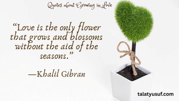 119 Romantic Quotes about Growing in Love Together 119 Romantic Quotes about Growing in Love Together
