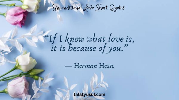 140 Unconditional Love Short Quotes for Him and Her 140 Unconditional Love Short Quotes for Him and Her