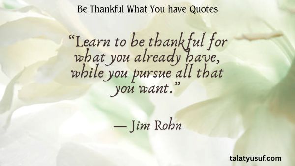 100+ Be Thankful What You have Quotes to Ground You 100+ Be Thankful What You have Quotes