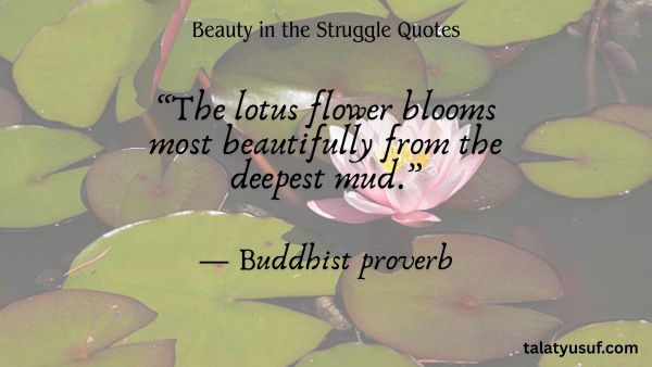 110 Beauty in the Struggle Quotes You’ll Never Forget 110 Beauty in the Struggle Quotes You’ll Never Forget
