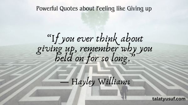110 Powerful Quotes about Feeling like Giving up 110 Powerful Quotes about Feeling like Giving up