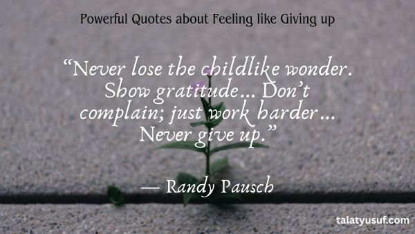 110 Powerful Quotes about Feeling like Giving up 110 Powerful Quotes about Feeling like Giving up