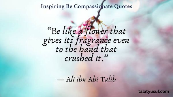 119 Inspiring Be Compassionate Quotes to Light the Way 119 Inspiring Be Compassionate Quotes to Light the Way