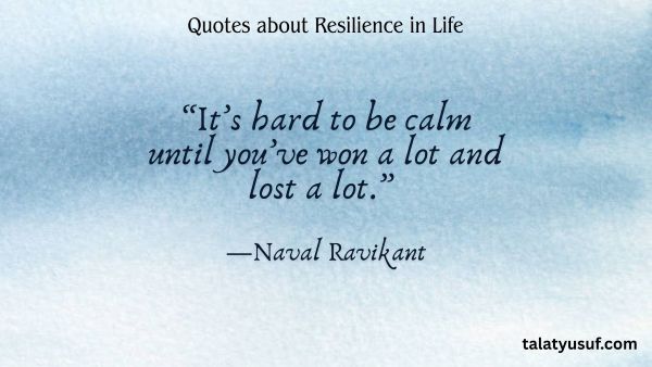 125 Powerful Quotes about Resilience in Life You Must Read 125 Quotes about Resilience in Life You Must Read