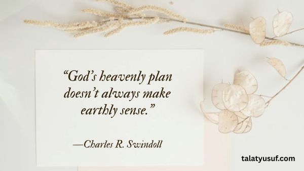 105 God has a Better Plan Quotes to Hold on to 105 God has a Better Plan Quotes to Hold on to