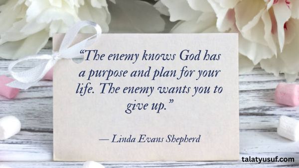 105 God has a Better Plan Quotes to Hold on to 105 God has a Better Plan Quotes to Hold on to