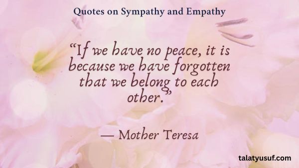 110 Simple & Sweet Quotes on Sympathy and Empathy 110 Simple & Sweet Quotes on Sympathy and Empathy
