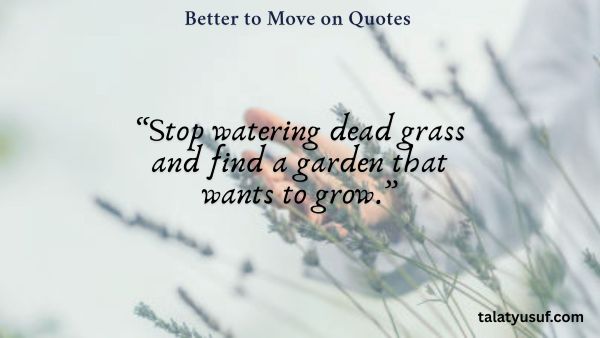 113 Better to Move on Quotes (You Deserve More) 113 Better to Move on Quotes (You Deserve More)