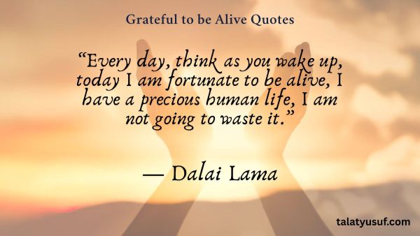 120 Grateful to be Alive Quotes (Life is a Gift) 120 Grateful to be Alive Quotes