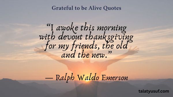120 Grateful to be Alive Quotes (Life is a Gift) 120 Grateful to be Alive Quotes