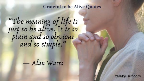 120 Grateful to be Alive Quotes (Life is a Gift) 120 Grateful to be Alive Quotes