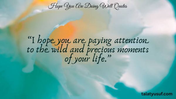 107 Touching Hope You are doing Well Quotes 107 Touching Hope You are doing Well Quotes