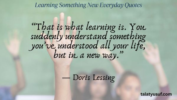 110 Amazing Learning Something New Everyday Quotes 110 Amazing Learning Something New Everyday Quotes