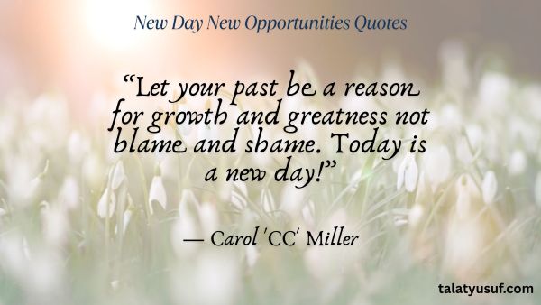 Best 101 New Day New Opportunities Quotes Best 101 New Day New Opportunities Quotes