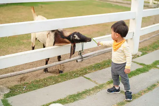 103 Amazing Short Kindness Quotes That Will Inspire You Short kindness quotes to animals