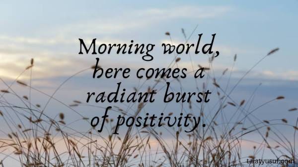 100 Morning Meditation Affirmations for a Happy Day 100 Morning Meditation Affirmations for a Happy Day