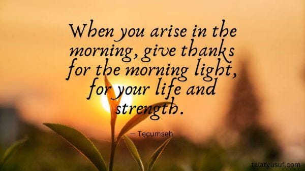 90 Inspiring Morning Meditation Quotes to Center Your Mind 90 Inspiring Morning Meditation Quotes to Center Your Mind