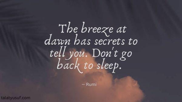 90 Inspiring Morning Meditation Quotes to Center Your Mind 90 Inspiring Morning Meditation Quotes to Center Your Mind