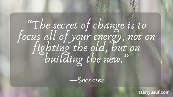 100 Amazing Quotes about Personal Growth and Change 100 Amazing Quotes about Personal Growth and Change