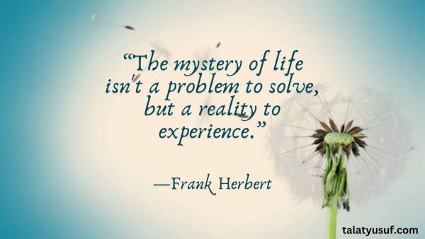 115 Simple Life is about Experiences Quotes to Inspire You 115 Simple Life is about Experiences Quotes to Inspire You