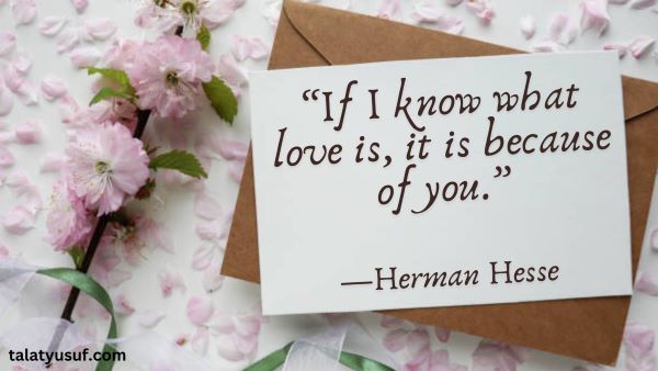 120 Soulmate Unconditional Love Quotes to Warm Your Heart 120 Soulmate Unconditional Love Quotes