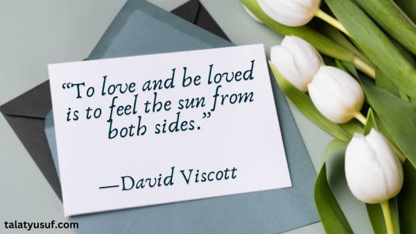 120 Soulmate Unconditional Love Quotes to Warm Your Heart 120 Soulmate Unconditional Love Quotes