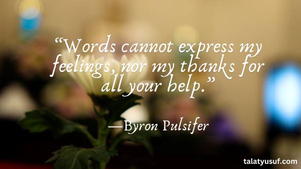 120 Powerful No Words to Express My Feelings Quotes Powerful No Words to Express My Feelings Quotes