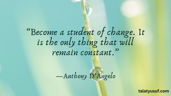 110 Change is Certain Quotes for a New Perspective 110 Change is Certain Quotes for a New Perspective