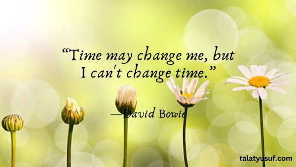 110 Change is Certain Quotes for a New Perspective 110 Change is Certain Quotes for a New Perspective