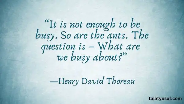 110 Don’t Lose Focus Quotes to Keep Your Mind Sharp 110 Don’t Lose Focus Quotes to Keep Your Mind Sharp