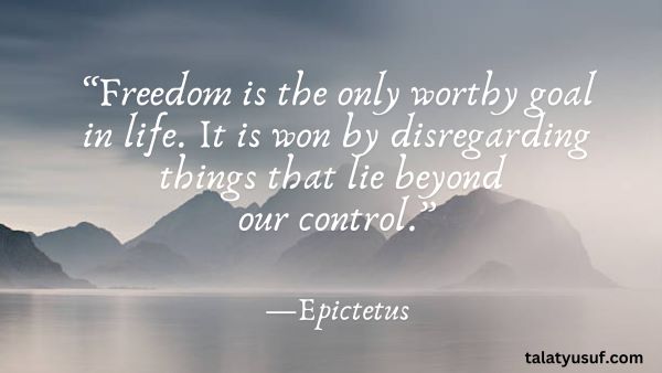 115 Powerful Stoicism Quotes on Control (Rise Above Chaos) 115 Powerful Stoicism Quotes on Control