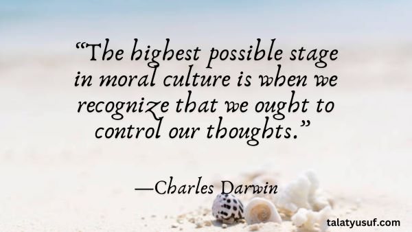 115 Powerful Stoicism Quotes on Control (Rise Above Chaos) 115 Powerful Stoicism Quotes on Control